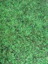 Minigolf Felt Playing Surface - Green